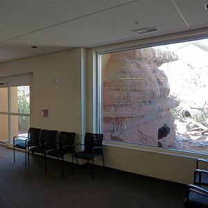 Guest Services Building - Interior View of Native Species Exhibit