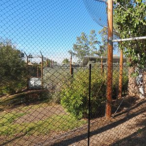 Isle of the Tiger - Right Exhibit