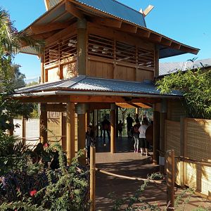 Isle of the Tiger - Main Viewing Shelter Exterior