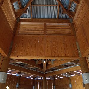 Isle of the Tiger - Main Viewing Shelter Interior