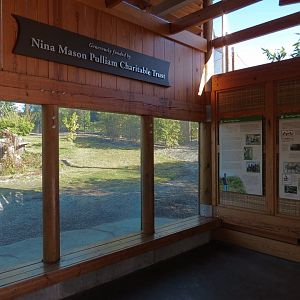 Isle of the Tiger - Main Viewing Shelter - View of Right Exhibit