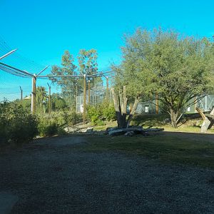 Isle of the Tiger - Right Exhibit