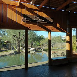 Isle of the Tiger - Main Viewing Shelter - View of Left Exhibit