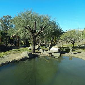 Isle of the Tiger - Left Exhibit