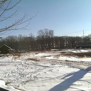 Elephant exhibit construction