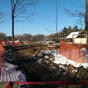 Elephant exhibit construction