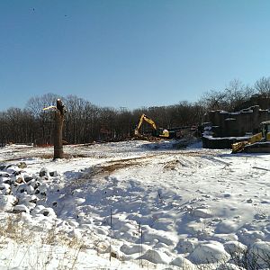 Elephant exhibit construction