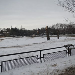 Elephant Exhibit Construction 12/21/16