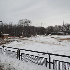 Elephant Exhibit Construction 12/21/16