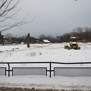 Elephant Exhibit Construction 12/21/16