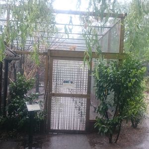 Entrance New Walk-through aviary