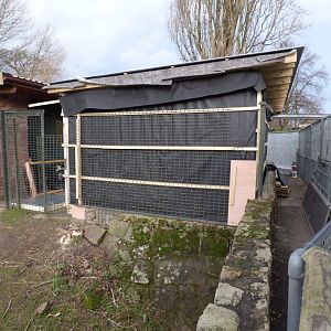 New House Construction by Capybara