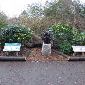 Statue of Boris the Chimpanzee