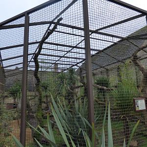 Binturong Enclosure