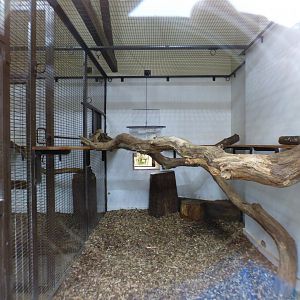 Indoor Binturong Enclosure