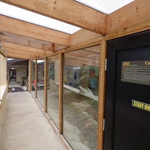 Komodo Dragon Viewing Area