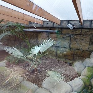 Indoor Komodo Dragon Enclosure