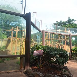 Chimpanzee Habitat