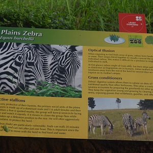 Zebra Signage