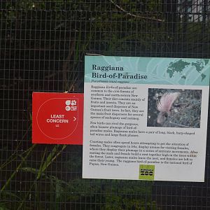 Bird of Paradise Signage