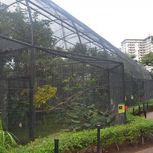 Aviaries