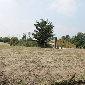 Elephant - Deer- Monkey Enclosure