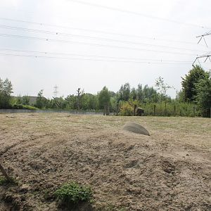 Elephant - Deer - Monkey Enclosure