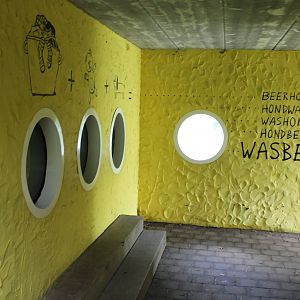 Viewing-windows Raccoon dog-burrow