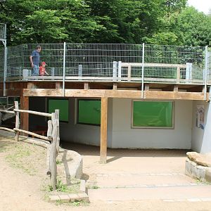 Underwater and Above-water viewing areas Penguins