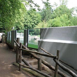 Penguin Enclosure