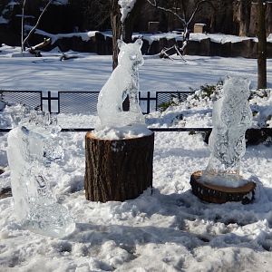 1/6/2016 - Animal Ice Sculptures