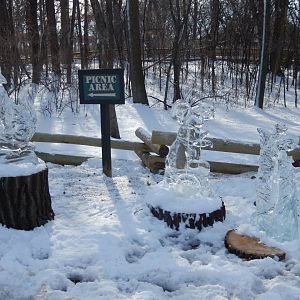 1/6/2016 - Animal Ice Sculptures