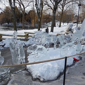 1/6/2016 - Animal Ice Sculptures