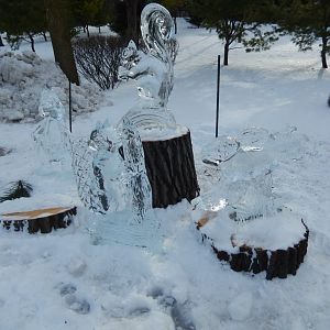 1/6/2016 - Animal Ice Sculptures