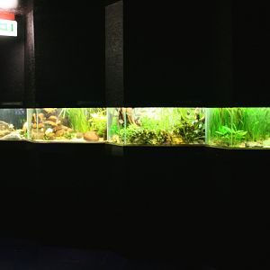 small aquariums