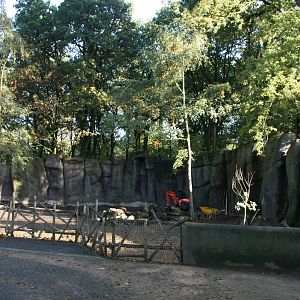 New Red panda enclosure under constuction