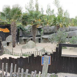 Penguin-enclosure