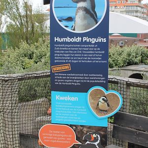 Humoldt penguin-sign