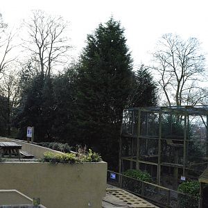 End of snow leopard enclosure