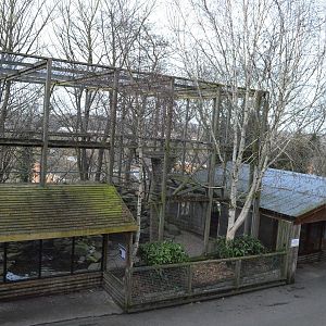 Snow leopard enclosure