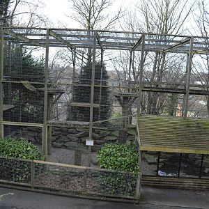 Snow leopard enclosure