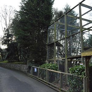 End of snow leopard enclosure