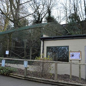 Former Geoffroy’s cat enclosure