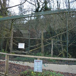 Former Geoffroy's cat enclosure