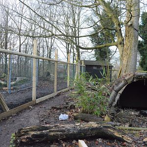 New anti-anteater fencing in new enclosure