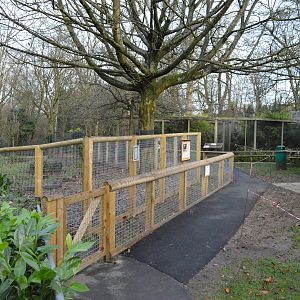 New path in front of new giant anteater enclosure