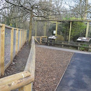 New path in front of new giant anteater enclosure