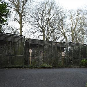 Triple parrot aviaries