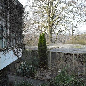 Capuchin outdoor enclosure