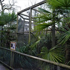 Small monkey and lemur enclosures